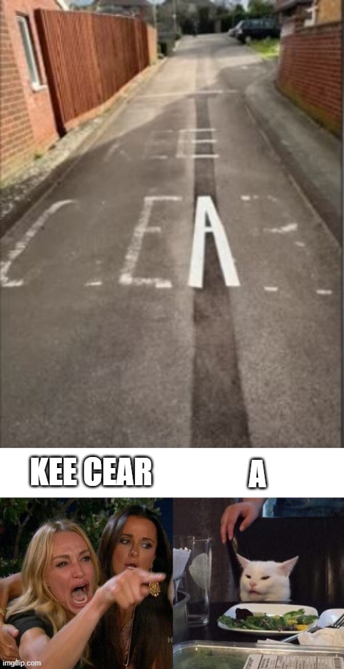 The Street Says..... | A; KEE CEAR | image tagged in memes,woman yelling at cat | made w/ Imgflip meme maker