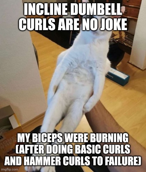 it was a good idea replacing ez bar curls with incline dumbell curls | INCLINE DUMBELL CURLS ARE NO JOKE; MY BICEPS WERE BURNING (AFTER DOING BASIC CURLS AND HAMMER CURLS TO FAILURE) | image tagged in this car think he a chicken | made w/ Imgflip meme maker