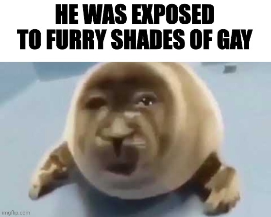 Poor thing | HE WAS EXPOSED TO FURRY SHADES OF GAY | image tagged in forced seal,furry | made w/ Imgflip meme maker
