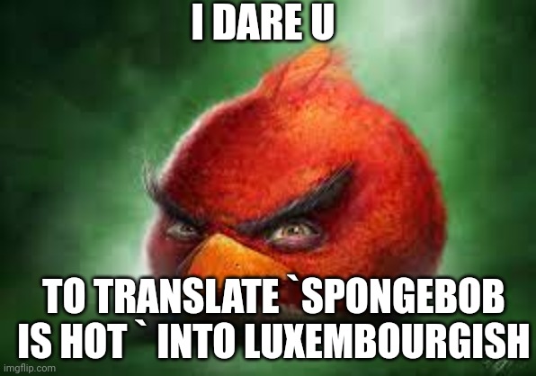 Realistic Red Angry Birds | I DARE U; TO TRANSLATE `SPONGEBOB IS HOT ` INTO LUXEMBOURGISH | image tagged in realistic red angry birds | made w/ Imgflip meme maker