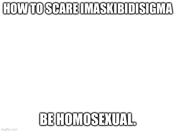 ;-; | HOW TO SCARE IMASKIBIDISIGMA; BE HOMOSEXUAL. | image tagged in blank white template | made w/ Imgflip meme maker