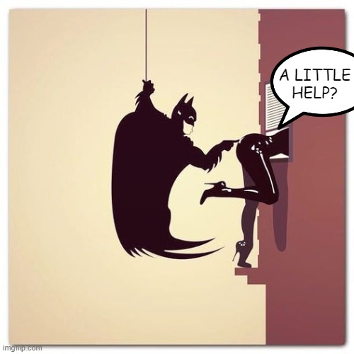 Cat Got Stuck | A LITTLE HELP? | image tagged in batman | made w/ Imgflip meme maker