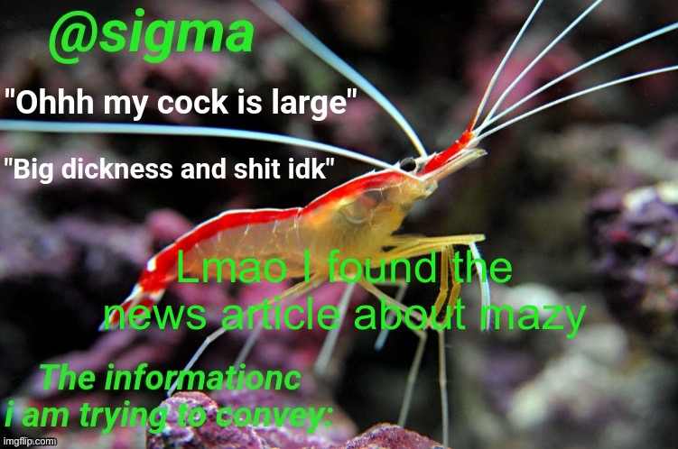 Behapps shrimp temp by skibble | Lmao I found the news article about mazy | image tagged in behapps shrimp temp by skibble | made w/ Imgflip meme maker