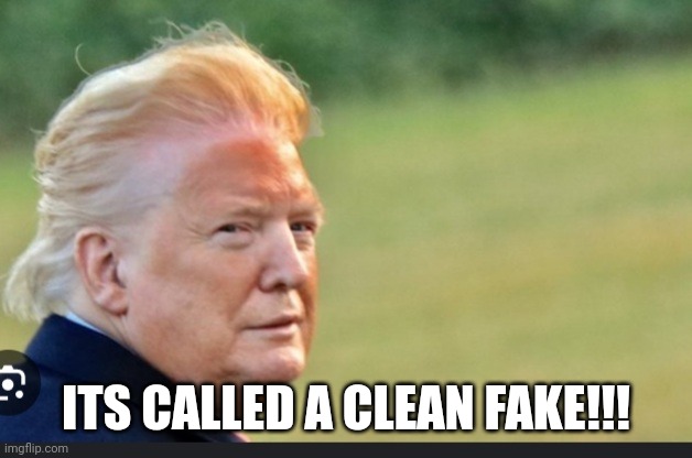Drag trump | ITS CALLED A CLEAN FAKE!!! | image tagged in drag trump | made w/ Imgflip meme maker