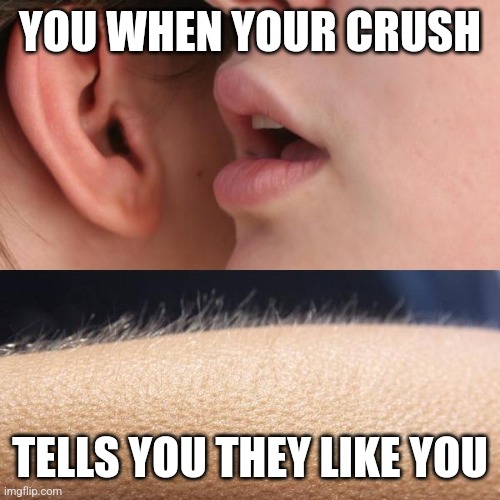 Whisper and Goosebumps | YOU WHEN YOUR CRUSH; TELLS YOU THEY LIKE YOU | image tagged in whisper and goosebumps | made w/ Imgflip meme maker