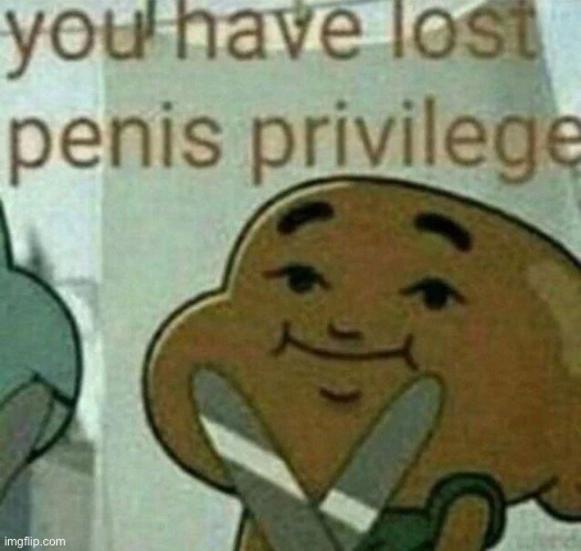 You have lost your penis privileges | image tagged in you have lost your penis privileges | made w/ Imgflip meme maker