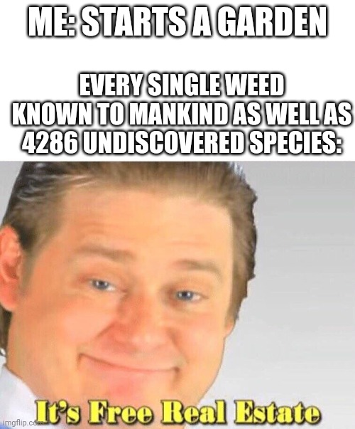 It's free real estate | ME: STARTS A GARDEN; EVERY SINGLE WEED KNOWN TO MANKIND AS WELL AS 4286 UNDISCOVERED SPECIES: | image tagged in it's free real estate | made w/ Imgflip meme maker