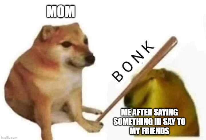 the moment you know you messed up | MOM; ME AFTER SAYING SOMETHING ID SAY TO
MY FRIENDS | image tagged in doge bonk | made w/ Imgflip meme maker