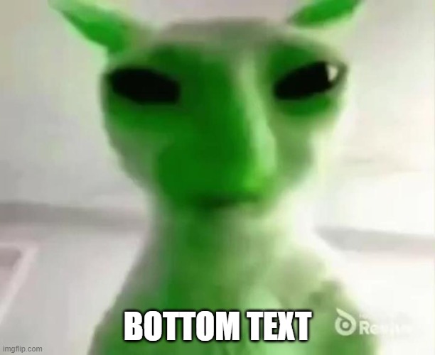 goofy ahh alien cat | BOTTOM TEXT | image tagged in goofy ahh alien cat | made w/ Imgflip meme maker