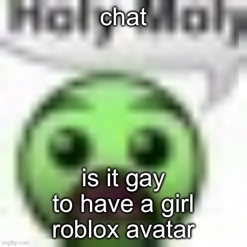 holy moly | chat; is it gay to have a girl roblox avatar | image tagged in holy moly | made w/ Imgflip meme maker