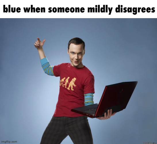 slur time | image tagged in sheldon cooper laptop | made w/ Imgflip meme maker