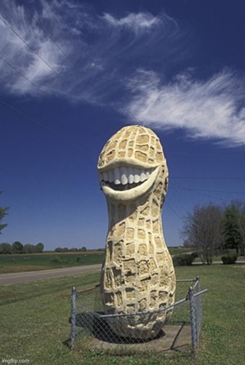 nut | image tagged in nut | made w/ Imgflip meme maker
