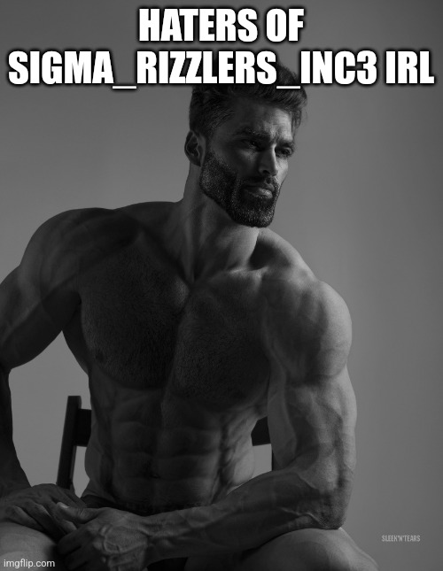 Giga Chad | HATERS OF SIGMA_RIZZLERS_INC3 IRL | image tagged in giga chad | made w/ Imgflip meme maker