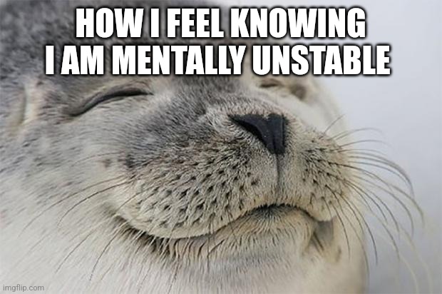 Satisfied Seal Meme | HOW I FEEL KNOWING I AM MENTALLY UNSTABLE | image tagged in memes,satisfied seal | made w/ Imgflip meme maker