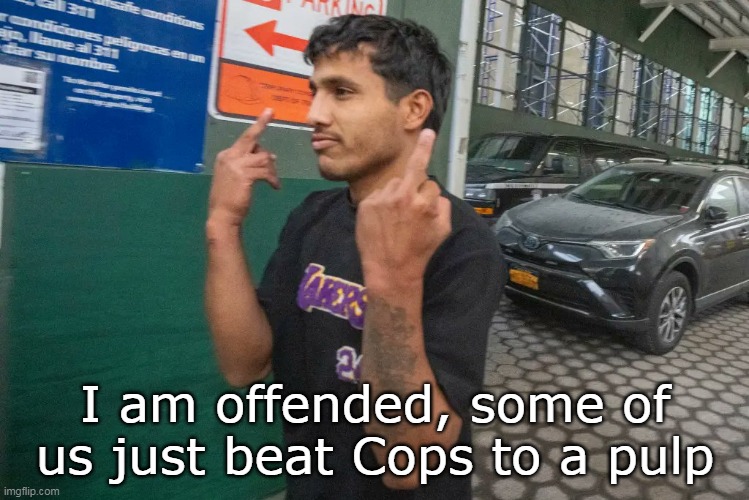 I am offended, some of us just beat Cops to a pulp | made w/ Imgflip meme maker