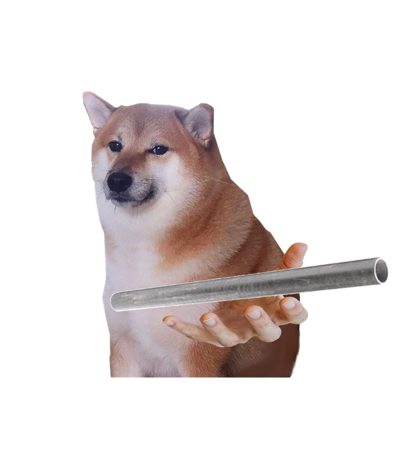 doge youre a grown ass man pickup your pipe Blank Meme Template