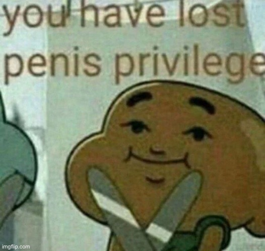 .. | image tagged in you have lost your penis privileges | made w/ Imgflip meme maker