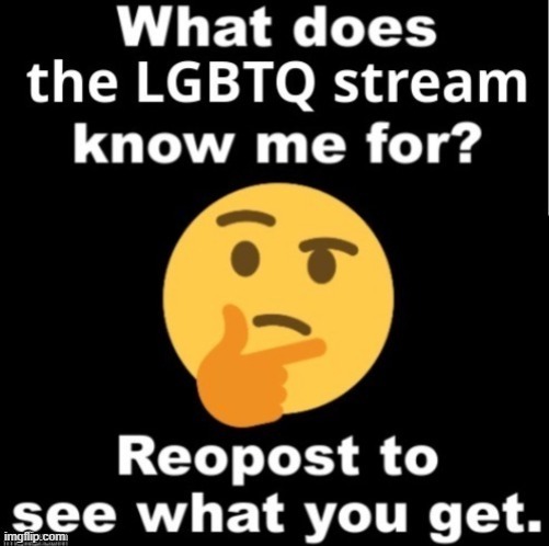 Ah. My favorite word. "Reopost" | image tagged in what does the lgbtq stream know me for | made w/ Imgflip meme maker
