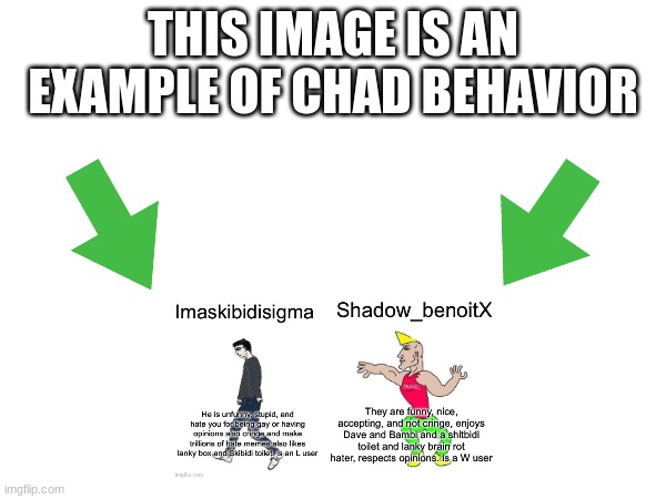 This image is an example of chad behavior | image tagged in this image is an example of chad behavior | made w/ Imgflip meme maker