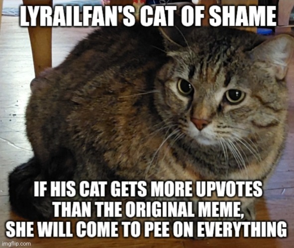 LyRailfan's cat of shame | image tagged in lyrailfan's cat of shame | made w/ Imgflip meme maker