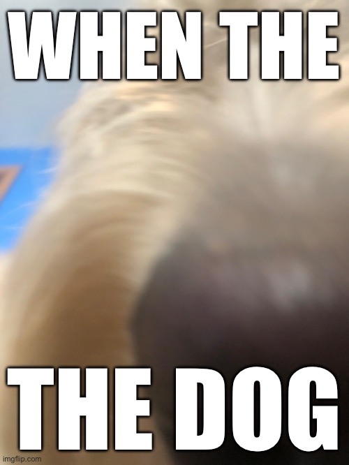 WHEN THE; THE DOG | made w/ Imgflip meme maker