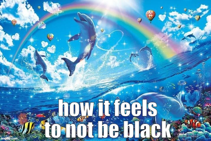 Happy dolphin rainbow | how it feels to not be black | image tagged in happy dolphin rainbow | made w/ Imgflip meme maker