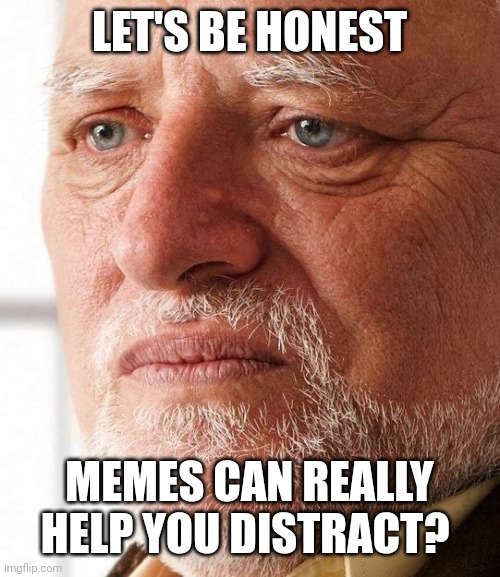 Harold can't hide his pain anymore | LET'S BE HONEST; MEMES CAN REALLY HELP YOU DISTRACT? | image tagged in harold can't hide his pain anymore | made w/ Imgflip meme maker