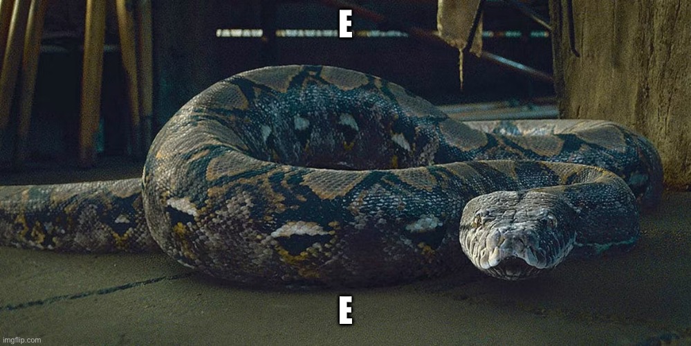 e | E; E | image tagged in nagini,e | made w/ Imgflip meme maker