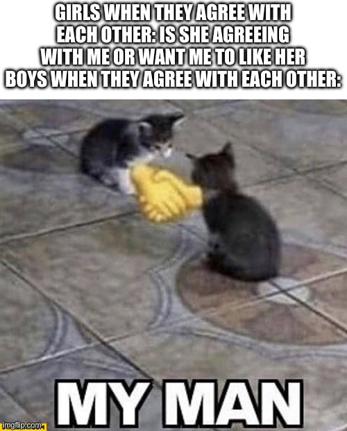 Cats shaking hands | GIRLS WHEN THEY AGREE WITH EACH OTHER: IS SHE AGREEING WITH ME OR WANT ME TO LIKE HER
BOYS WHEN THEY AGREE WITH EACH OTHER: | image tagged in cats shaking hands | made w/ Imgflip meme maker