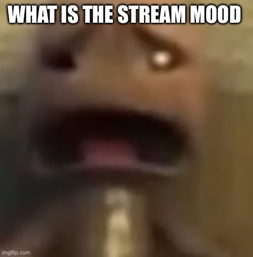 Wtf | WHAT IS THE STREAM MOOD | image tagged in wtf 12 | made w/ Imgflip meme maker