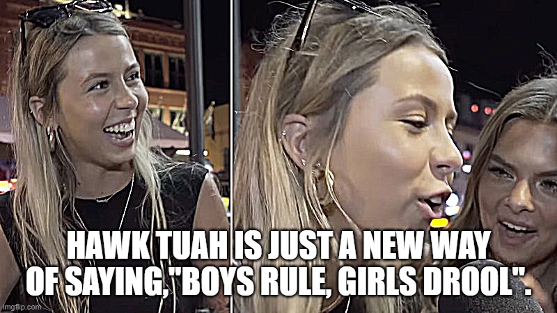 Boys Rule, Girls Drool | HAWK TUAH IS JUST A NEW WAY OF SAYING,"BOYS RULE, GIRLS DROOL". | image tagged in hawk tuah girl | made w/ Imgflip meme maker