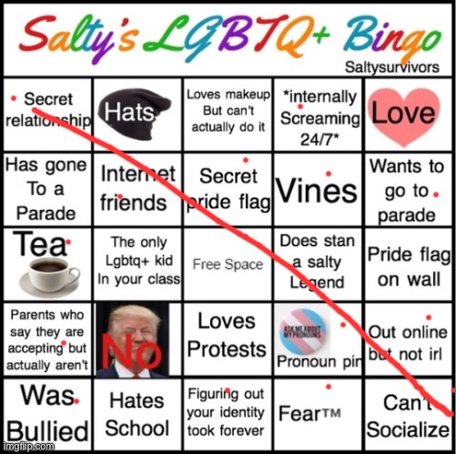 The Pride Bingo | image tagged in the pride bingo | made w/ Imgflip meme maker