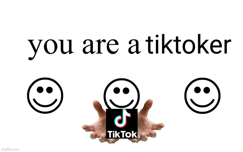 You Are An Idiot!! | tiktoker | image tagged in you are an idiot | made w/ Imgflip meme maker