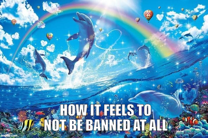 uhh, laugh | HOW IT FEELS TO NOT BE BANNED AT ALL | image tagged in happy dolphin rainbow | made w/ Imgflip meme maker