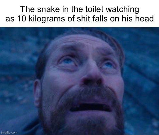 Willem Dafoe looking up | The snake in the toilet watching as 10 kilograms of shit falls on his head | image tagged in willem dafoe looking up | made w/ Imgflip meme maker