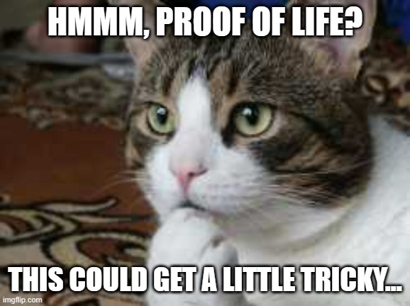 Ponder cat | HMMM, PROOF OF LIFE? THIS COULD GET A LITTLE TRICKY... | image tagged in ponder cat | made w/ Imgflip meme maker