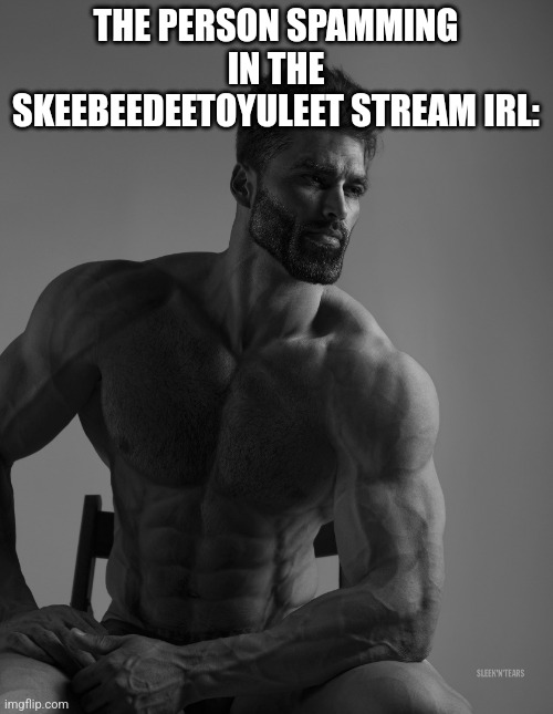 Giga Chad | THE PERSON SPAMMING IN THE SKEEBEEDEETOYULEET STREAM IRL: | image tagged in giga chad | made w/ Imgflip meme maker
