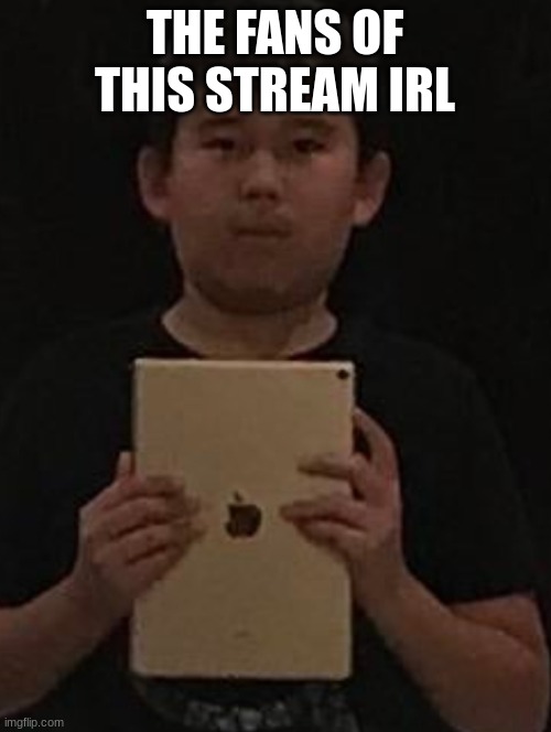 Kid with ipad | THE FANS OF THIS STREAM IRL | image tagged in kid with ipad | made w/ Imgflip meme maker