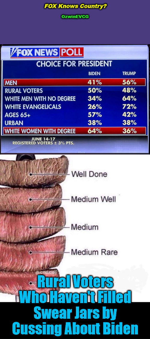 FOX Knows Country? | FOX Knows Country? OzwinEVCG; Rural Voters 

Who Haven't Filled 

Swear Jars by 

Cussing About Biden | image tagged in really rare,say what,fox news,polls,biden vs trump,elections | made w/ Imgflip meme maker