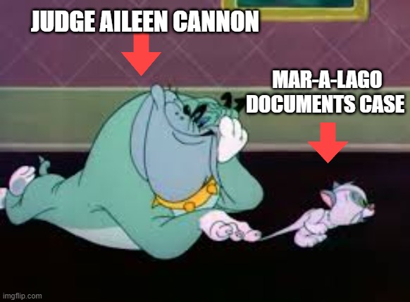 Judge Cannon and Mar-A-Lago/Bulldog and Kitten | JUDGE AILEEN CANNON; MAR-A-LAGO DOCUMENTS CASE | image tagged in aileen cannon,mar-a-lago case,cute kitten,nasty bulldog,i hate donald trump,trump sucks | made w/ Imgflip meme maker