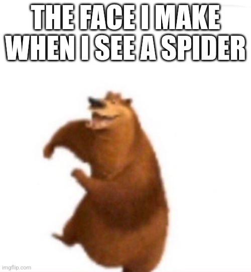 I love spiders | THE FACE I MAKE WHEN I SEE A SPIDER | image tagged in shart bear,spiders | made w/ Imgflip meme maker