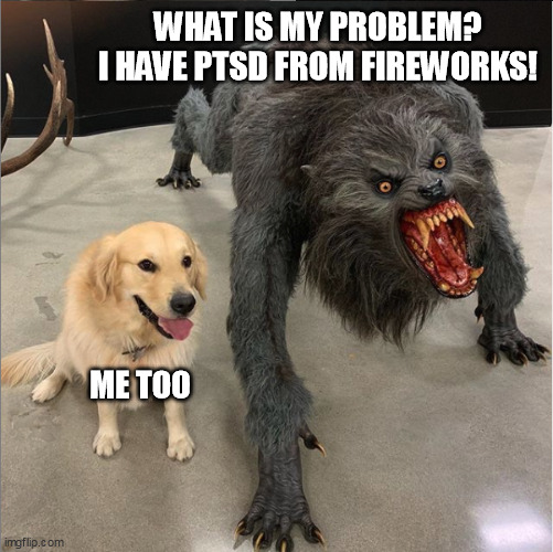 Werewolves Against Fireworks | WHAT IS MY PROBLEM?
I HAVE PTSD FROM FIREWORKS! ME TOO | image tagged in dog vs werewolf | made w/ Imgflip meme maker