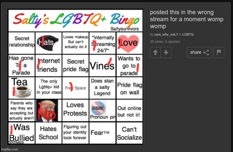 wow swn, nice bingo. (guys i think swn might be gay) | made w/ Imgflip meme maker