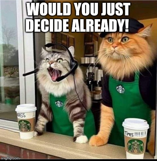 Feline impatience 2 | WOULD YOU JUST DECIDE ALREADY! | image tagged in feline impatience | made w/ Imgflip meme maker