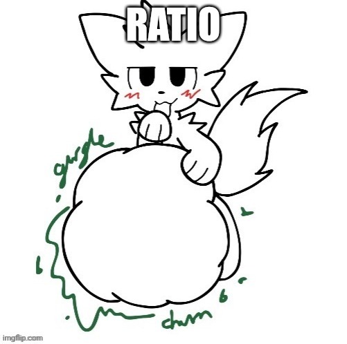 image tagged in boy vorer ratio | made w/ Imgflip meme maker