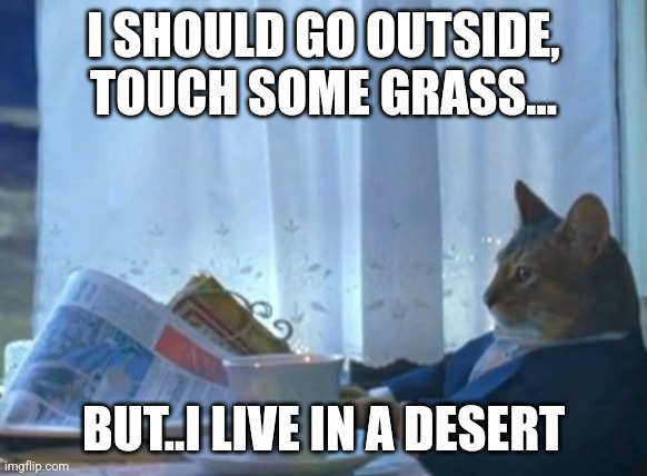 I should... | I SHOULD GO OUTSIDE, TOUCH SOME GRASS... BUT..I LIVE IN A DESERT | image tagged in memes,i should buy a boat cat | made w/ Imgflip meme maker