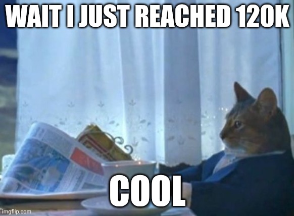 I Should Buy A Boat Cat | WAIT I JUST REACHED 120K; COOL | image tagged in memes,i should buy a boat cat | made w/ Imgflip meme maker