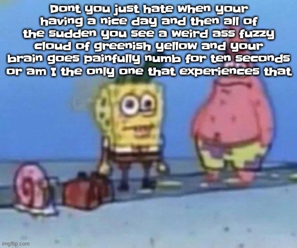 sponge and pat | Dont you just hate when your having a nice day and then all of the sudden you see a weird ass fuzzy cloud of greenish yellow and your brain goes painfully numb for ten seconds or am I the only one that experiences that | image tagged in sponge and pat | made w/ Imgflip meme maker