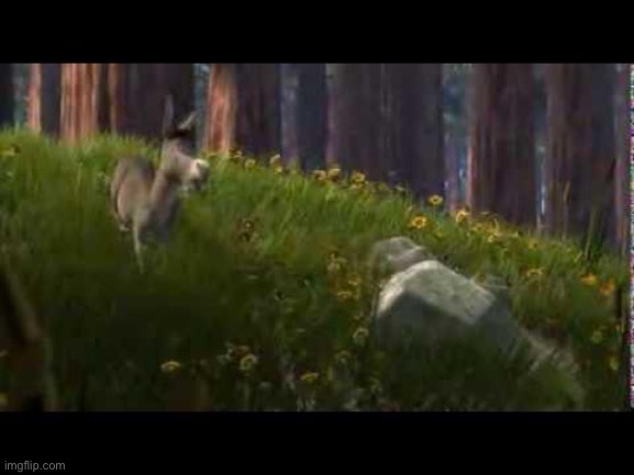 Donkey Boulder Shrek | image tagged in donkey boulder shrek | made w/ Imgflip meme maker