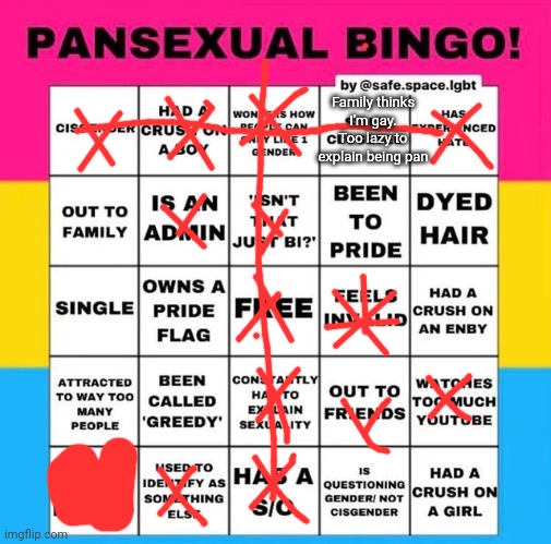 Pansexual Bingo | Family thinks I'm gay. Too lazy to explain being pan | image tagged in pansexual bingo | made w/ Imgflip meme maker